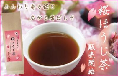 桜ほうじ茶