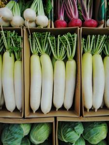 家族の食生活と冬の野菜摂取に関する意識調査
