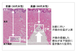 資生堂