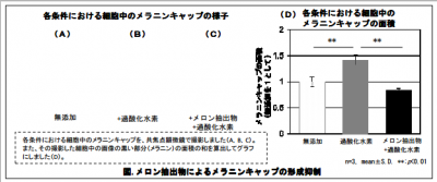 ポーラ化成