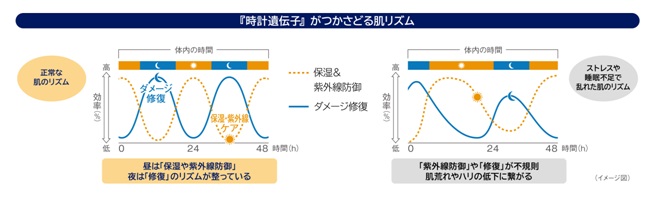 ナイトクリーム