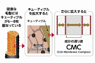 TSUBAKIプレミアムリペアマスク