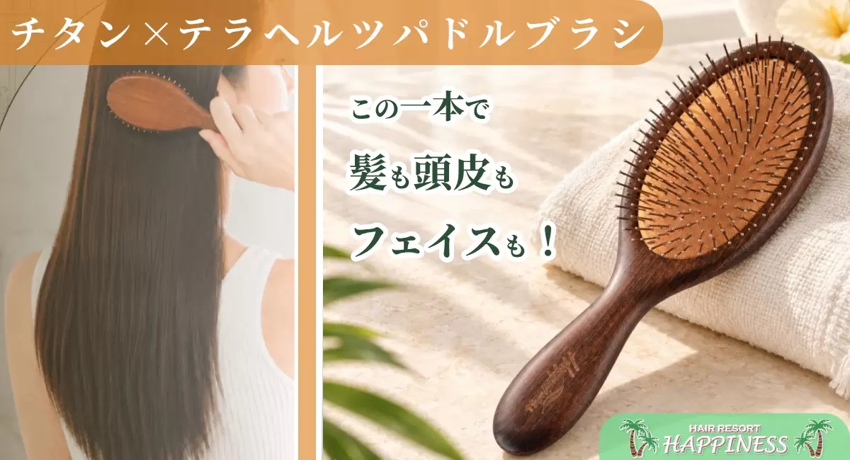 テラヘルツパドルブラシ