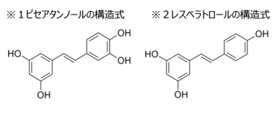 パセノール(R)