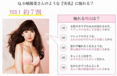 ドリームブラ