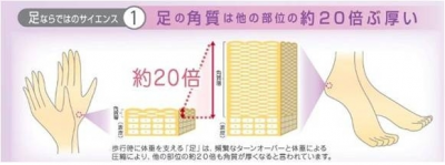 かかと