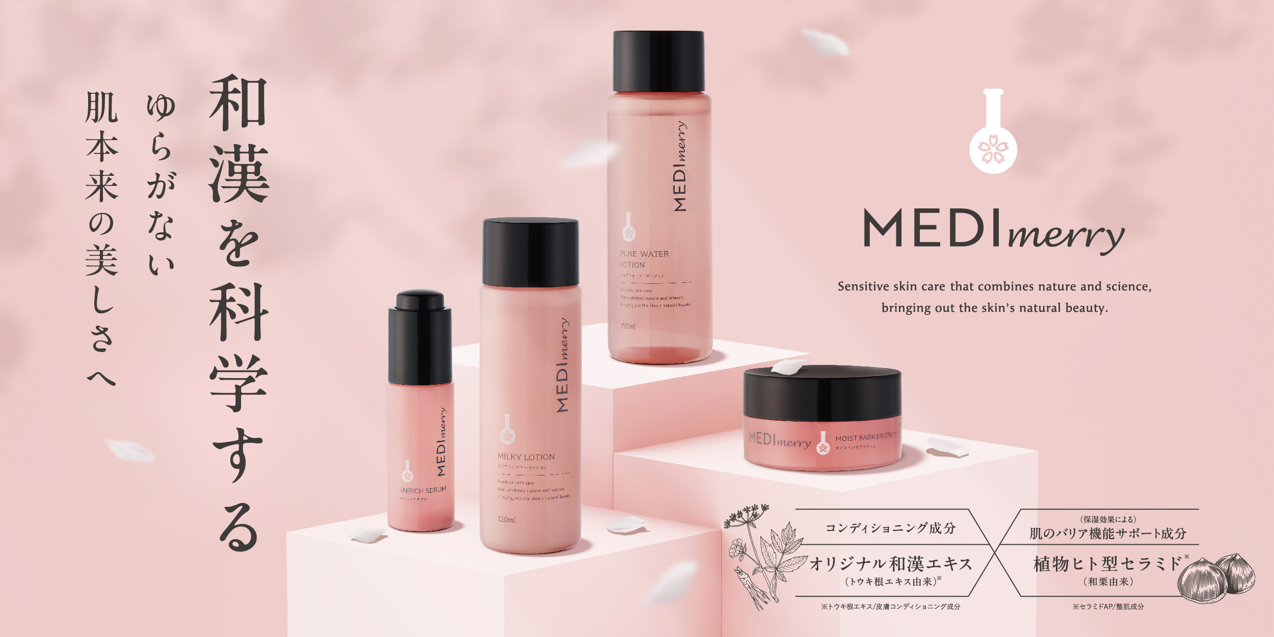 MEDIMERRY