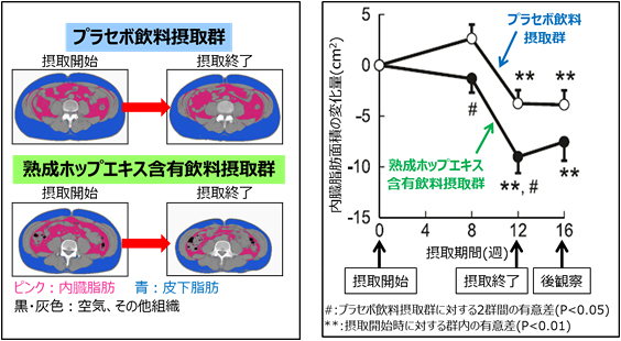 熟成ホップエキス