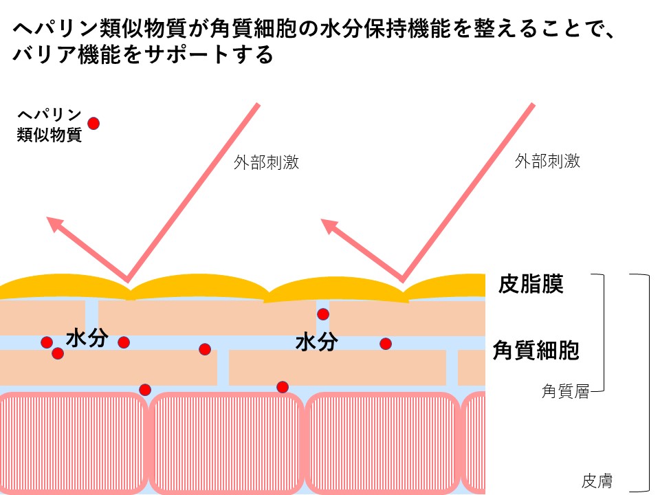 光潤水プレミアム化粧水