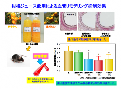 柑橘ジュース