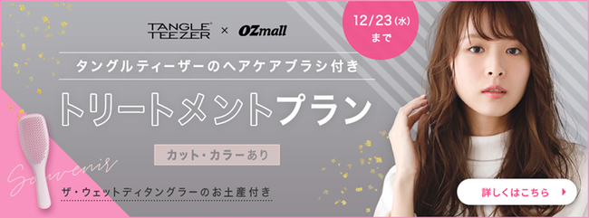 OZmallが濡れ髪専用ヘアケアブラシ付きトリートメントプランを150名限定販売