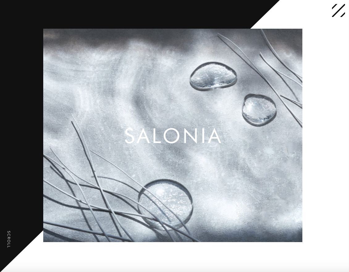 上品なパールカラー！高品質・低価格ヘアアイロン「SALONIA」より発売