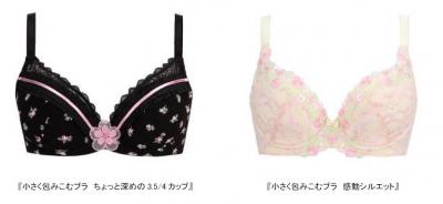 小さく包みこむブラ