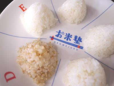 お米塾