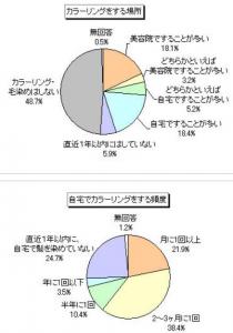 カラーリング調査