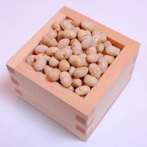 大豆