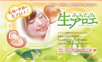 エコハーブ