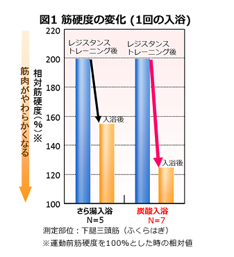 炭酸入浴
