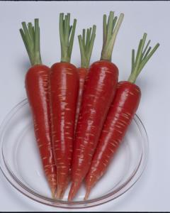 高機能野菜