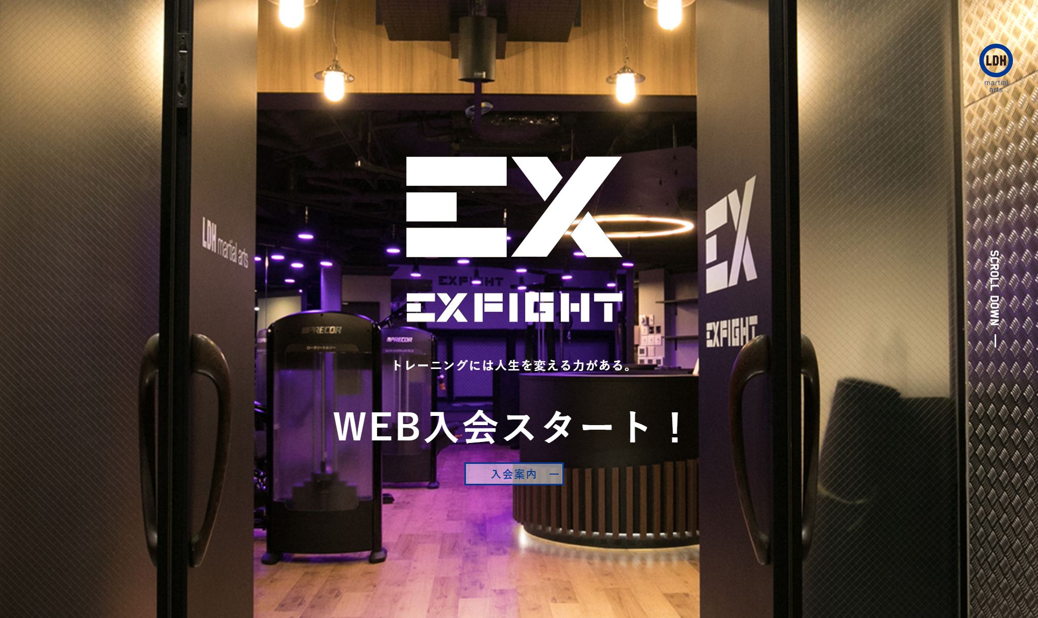 EXFIGHT