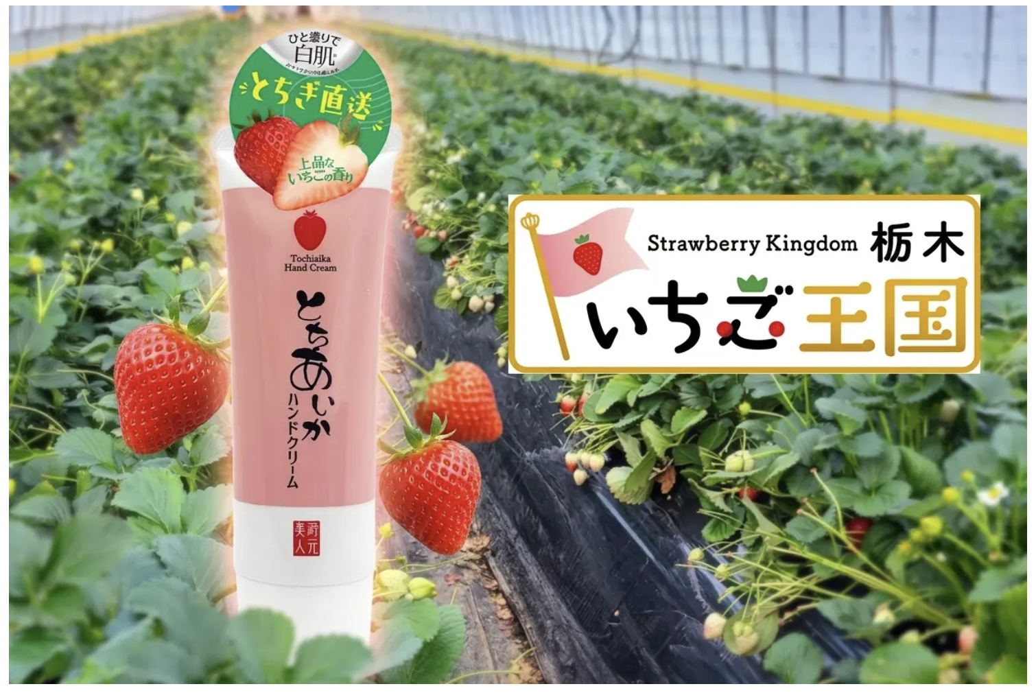 とちあいか