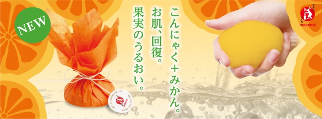 凍りこんにゃくスポンジ
