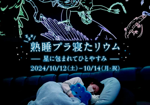 熟睡プラ寝たリウム