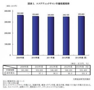 エステティックサロン市場に関する調査結果2013
