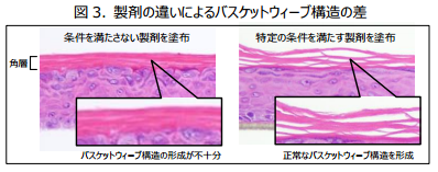 スキンケア製剤