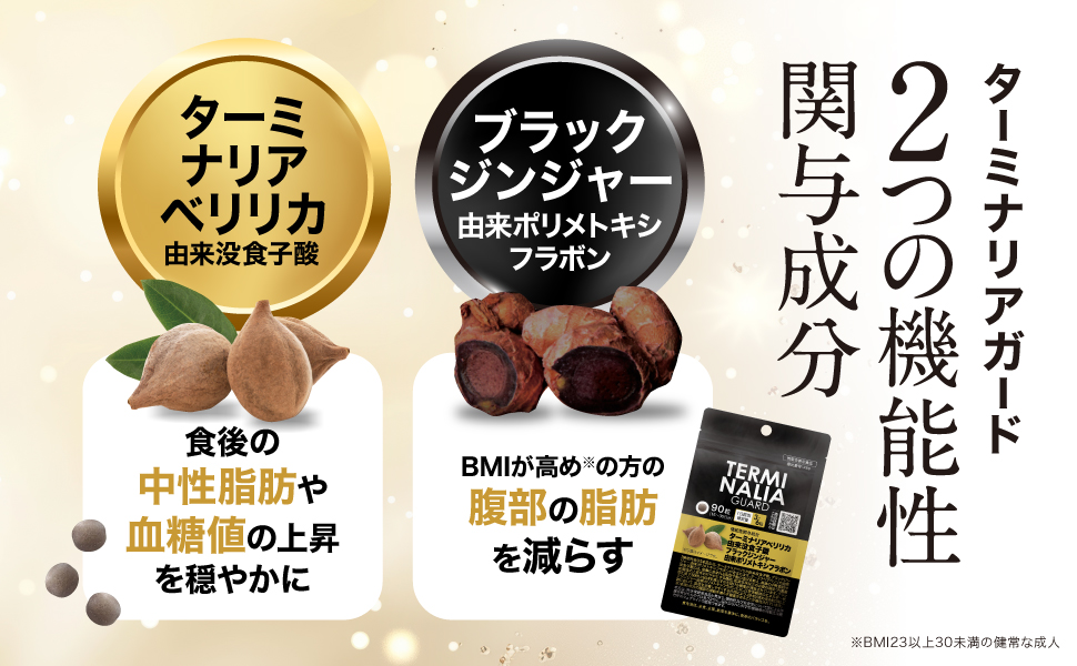 ターミナリアガード